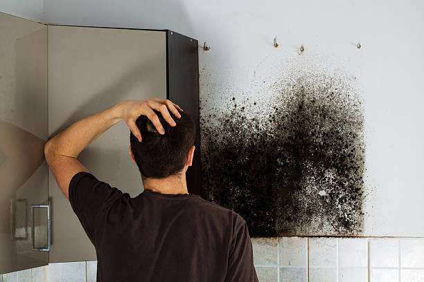 Chubbuck, ID Mold Remediation Company